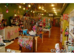 36 & 38 South Broad Street, Brevard, NC 28712